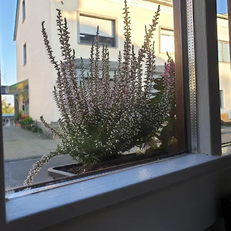 Apartament Duex-hof Fachwerkhaus *