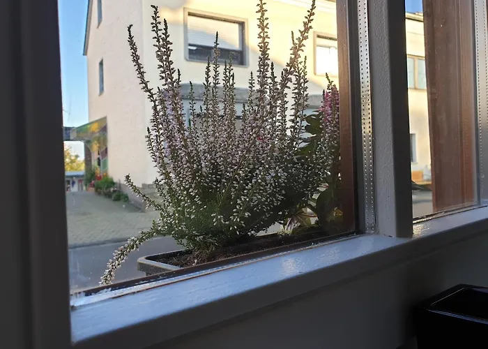 Apartment Duex-hof Fachwerkhaus *